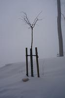 2013 02 16 A